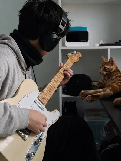 My telecaster